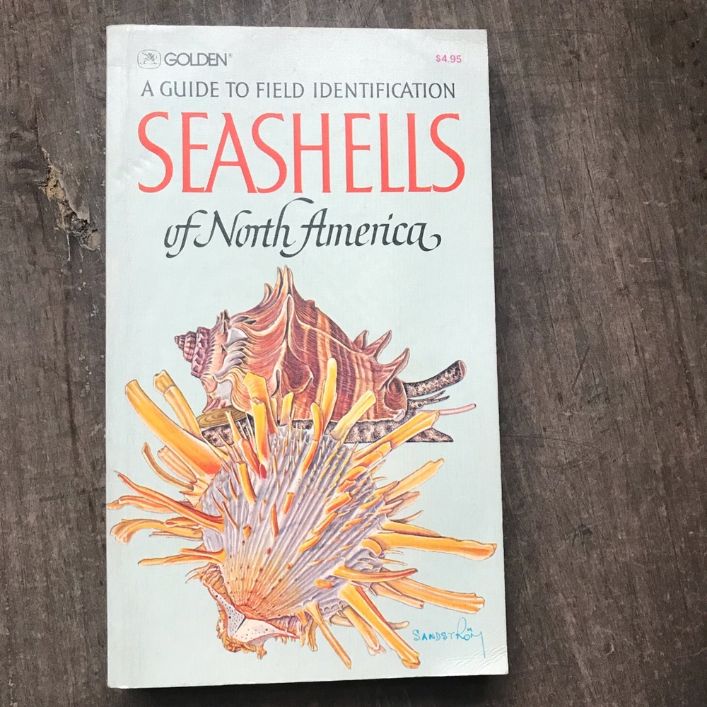 Seashells of North America Golden guide Paperback